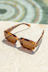 DS-8100-BRN-sunglasses-accessories